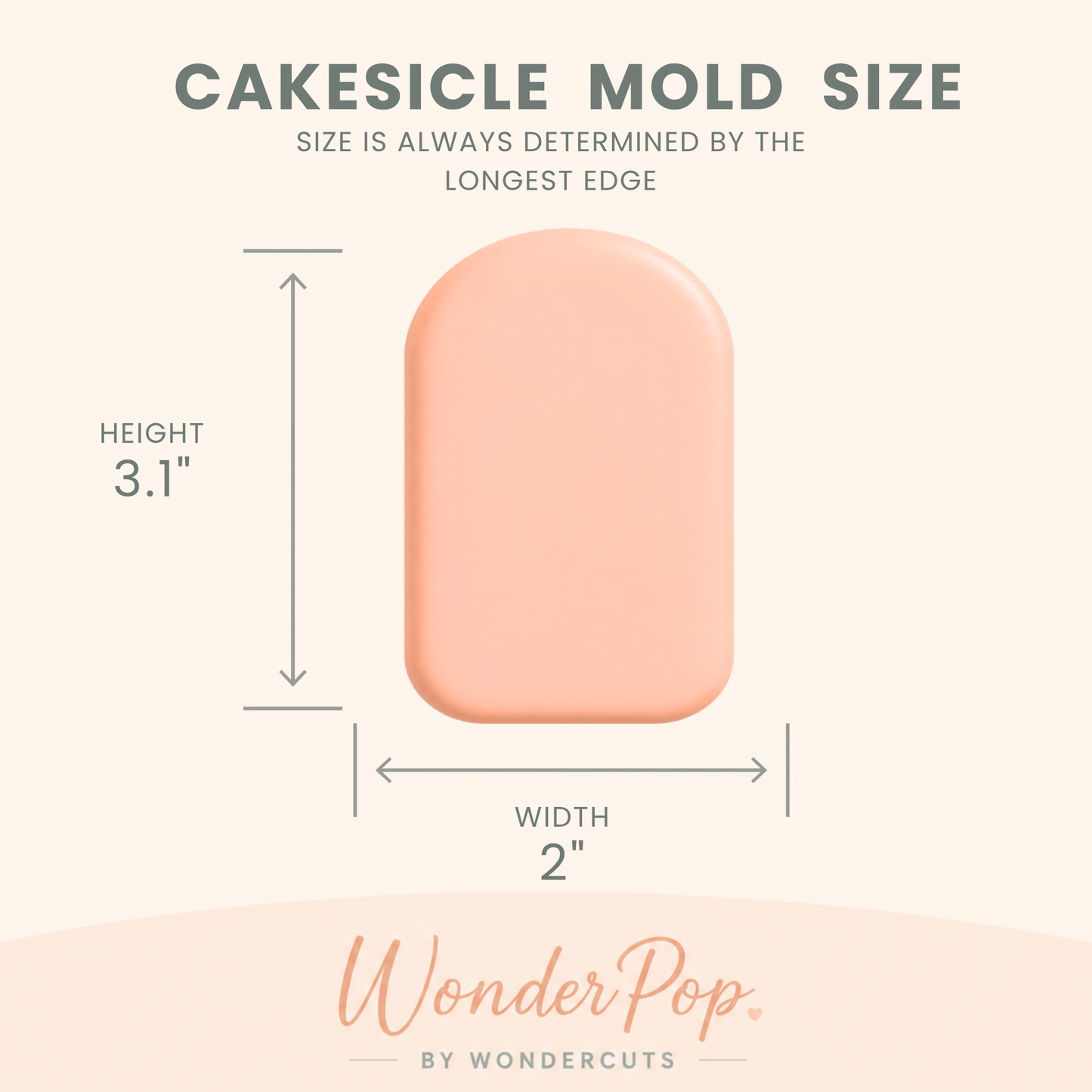 Basic Cakesicle Molds Set of 6