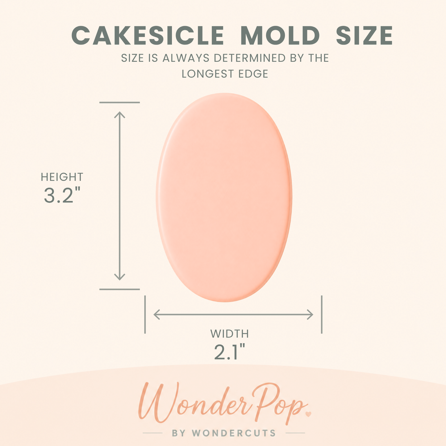 Oval Cakesicle Cake Pop Mold