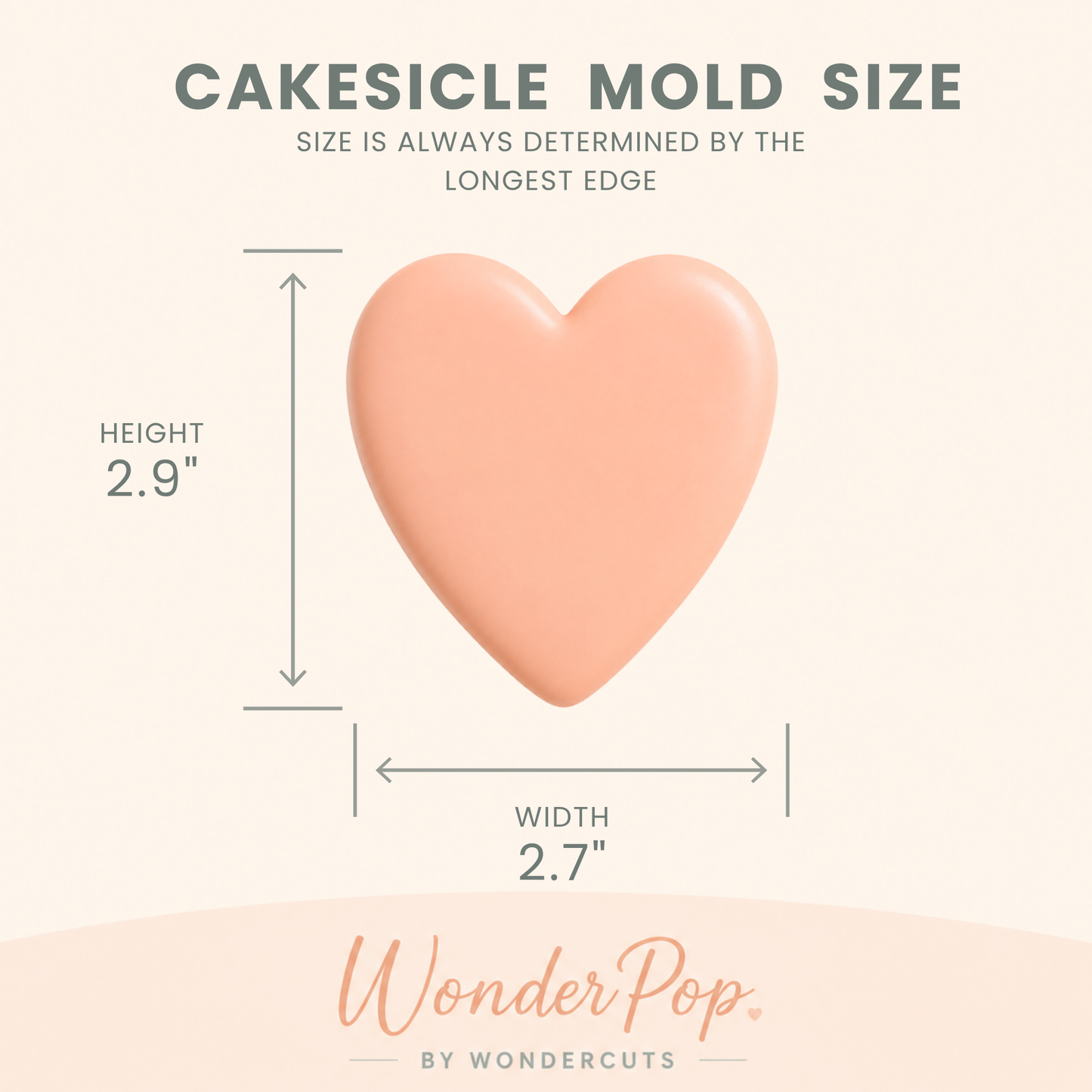Basic Cakesicle Molds Set of 6