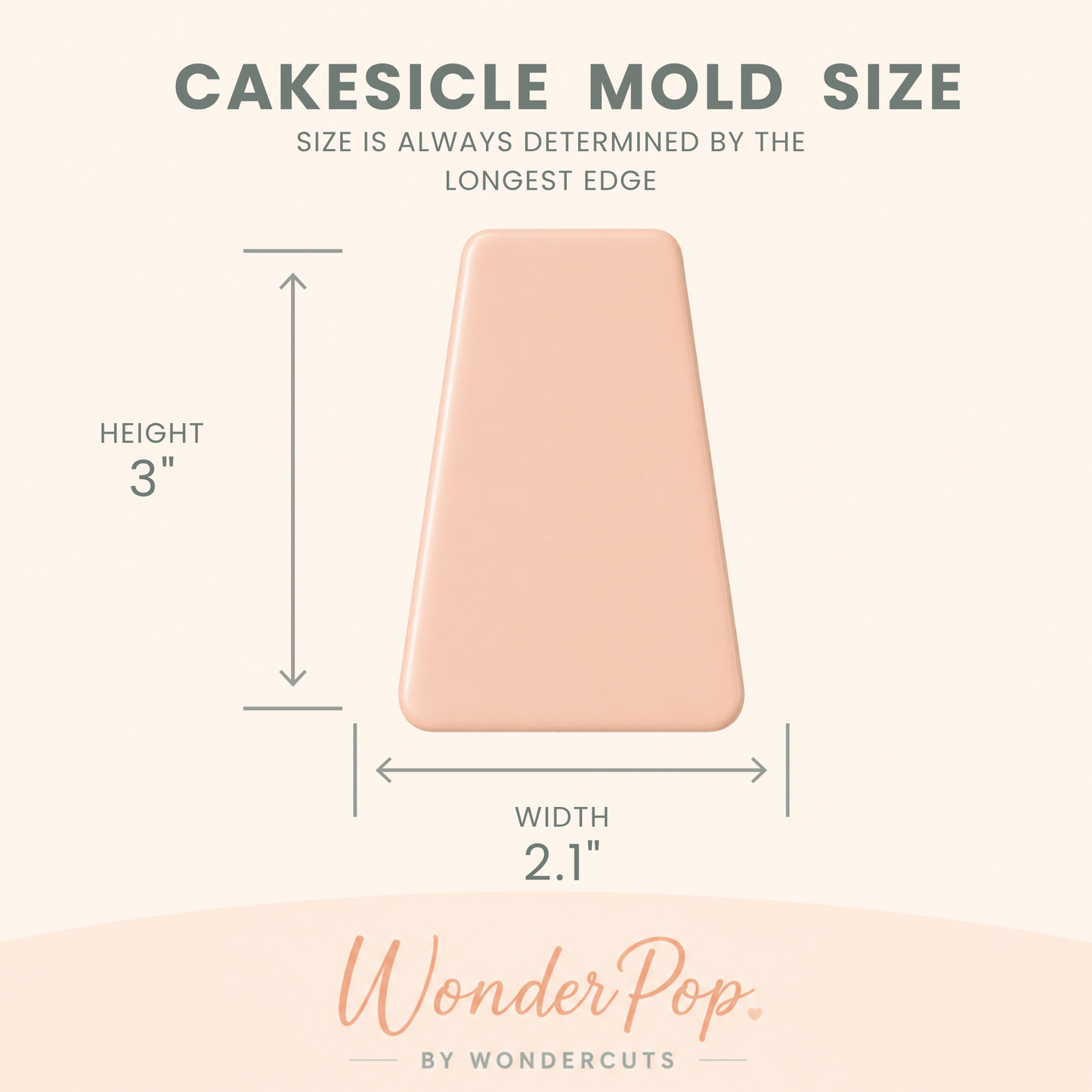 Basic Cakesicle Molds Set of 6