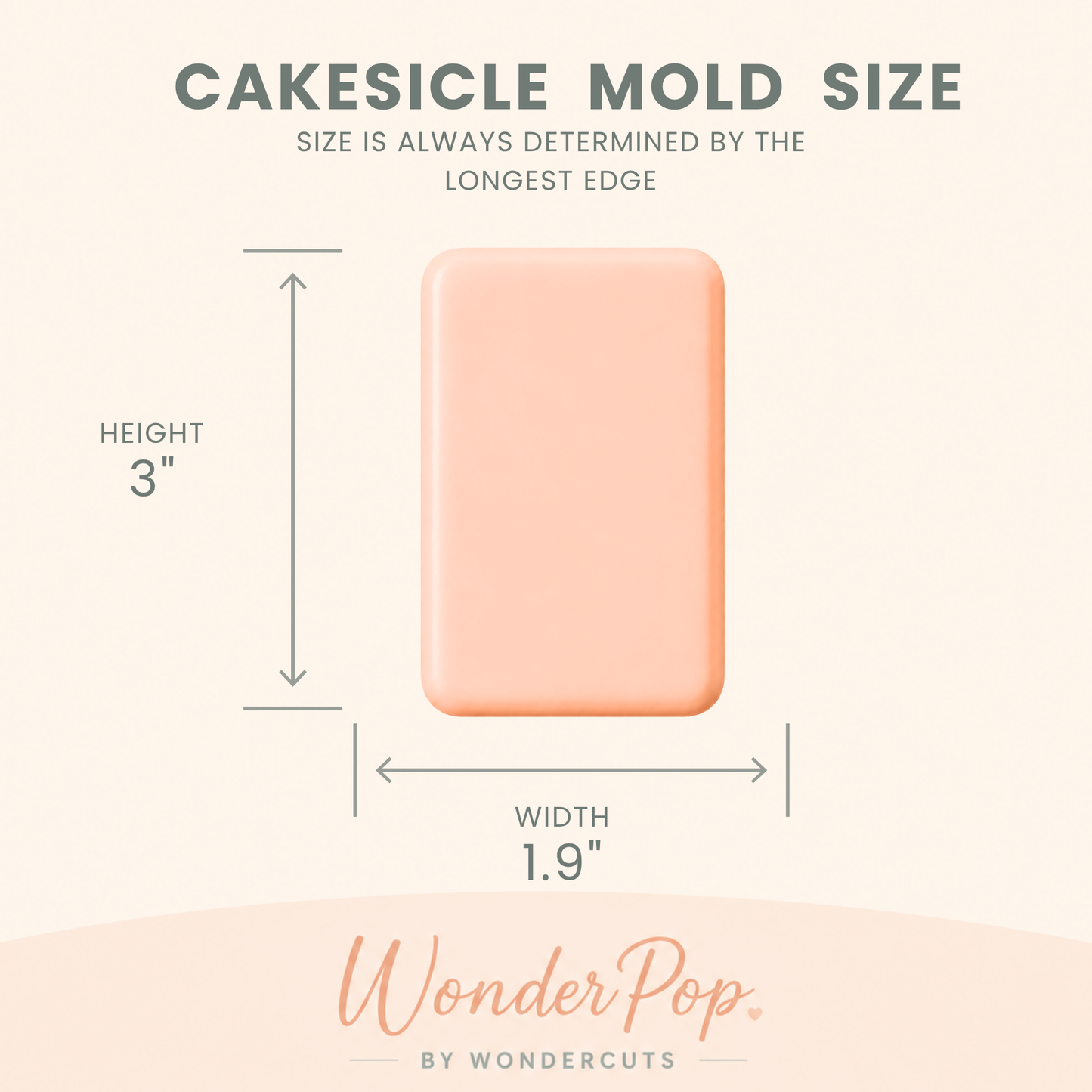 Rectangle Cakesicle Cake Pop Mold