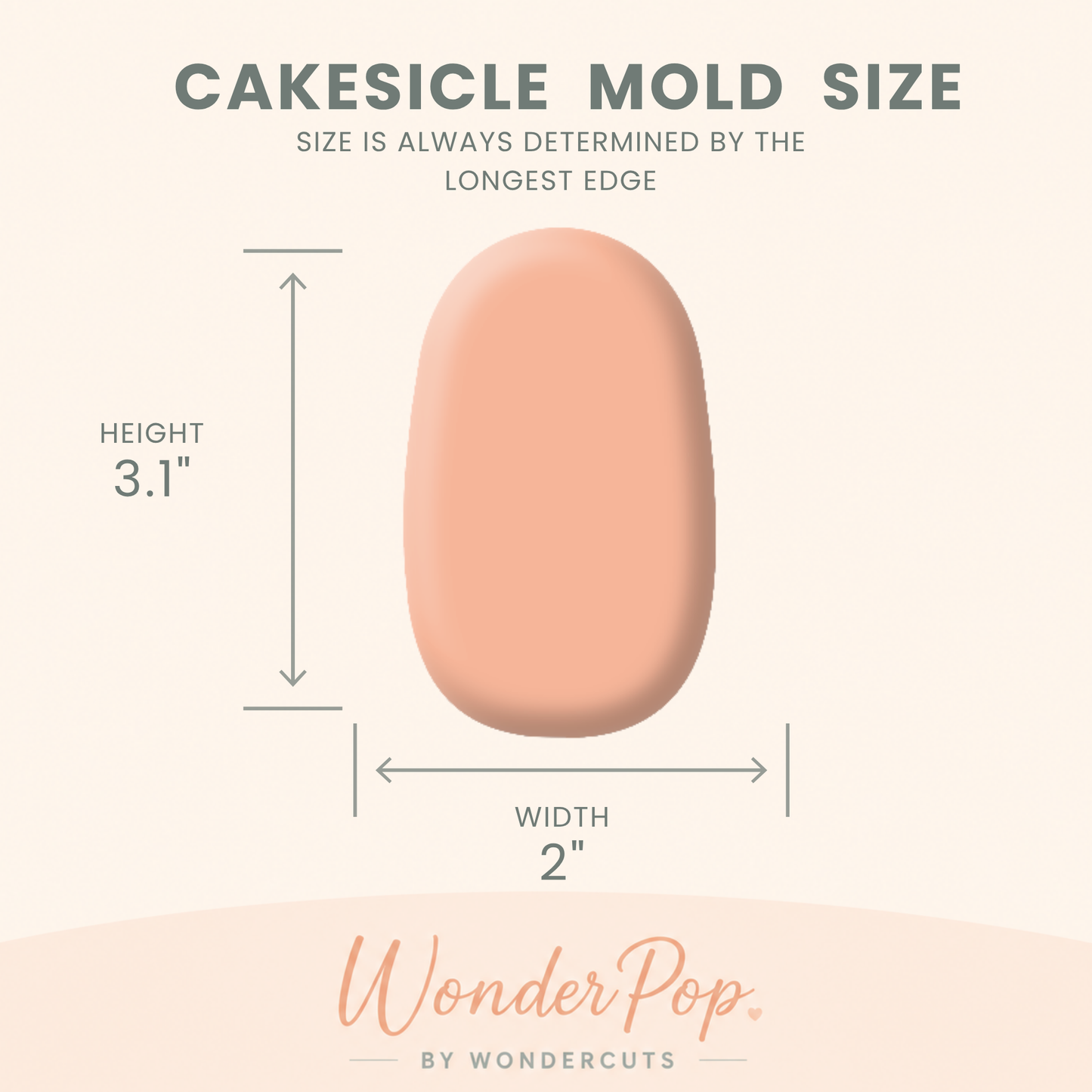 Basic Cakesicle Molds Set of 6